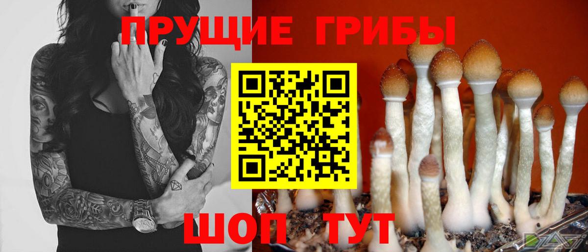 Галлюциногенные грибы MAGIC MUSHROOMS  Вход с VPN  Псилоцибиновые грибы прущие грибы  хочу наркоту  Котовск 